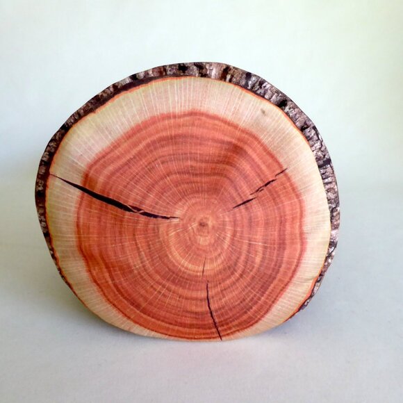 KIKKERLAND BRAND 14” MICROBEAD CAMP FIRE LOG NECK DECORATIVE PILLOW - Picture 2 of 10